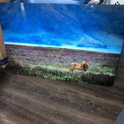 Lion Themed Metal Wall Art 35 X 25