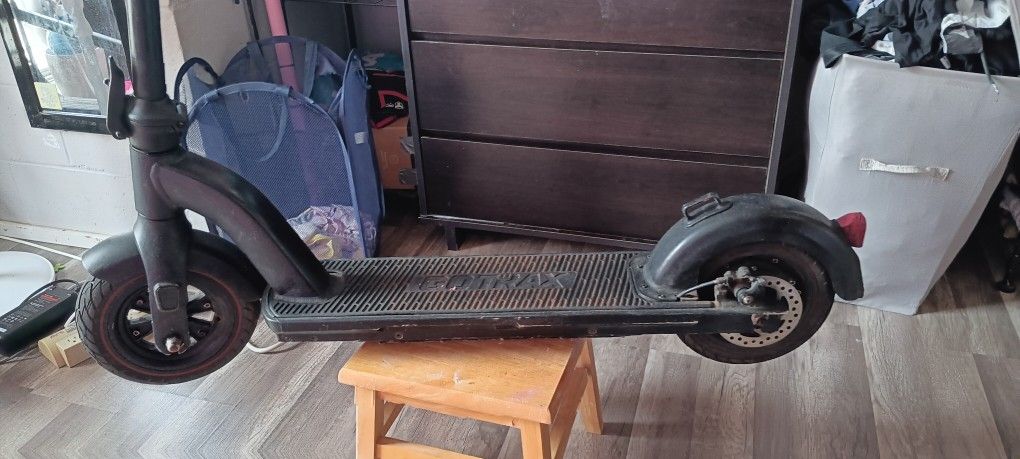 Gotrax Electric Scooter