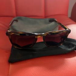 Sullivan  Sun Glasses 