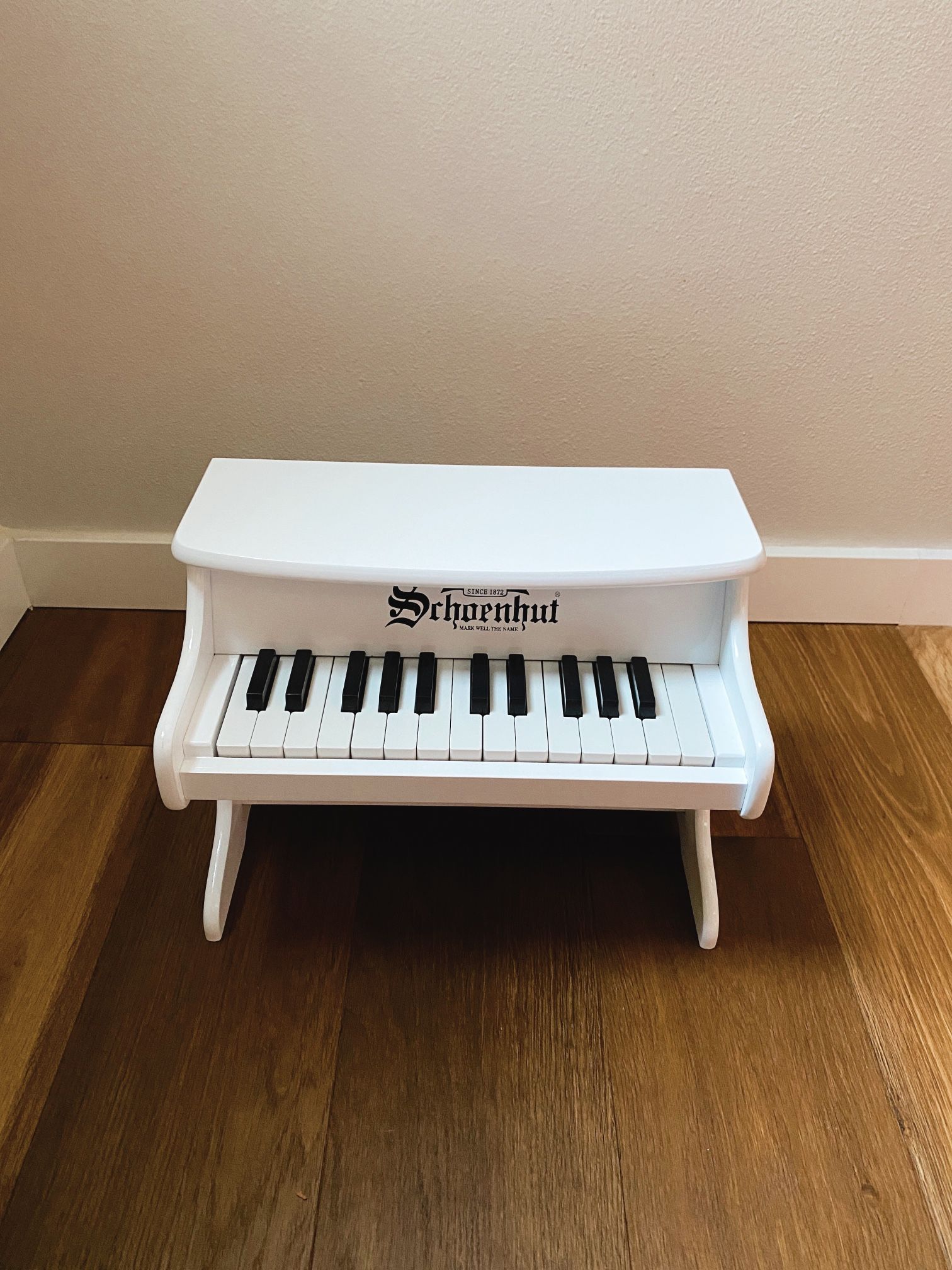 Schoenhut My First Piano