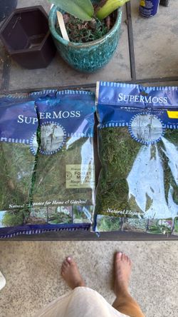 Moss for hobbies or garden