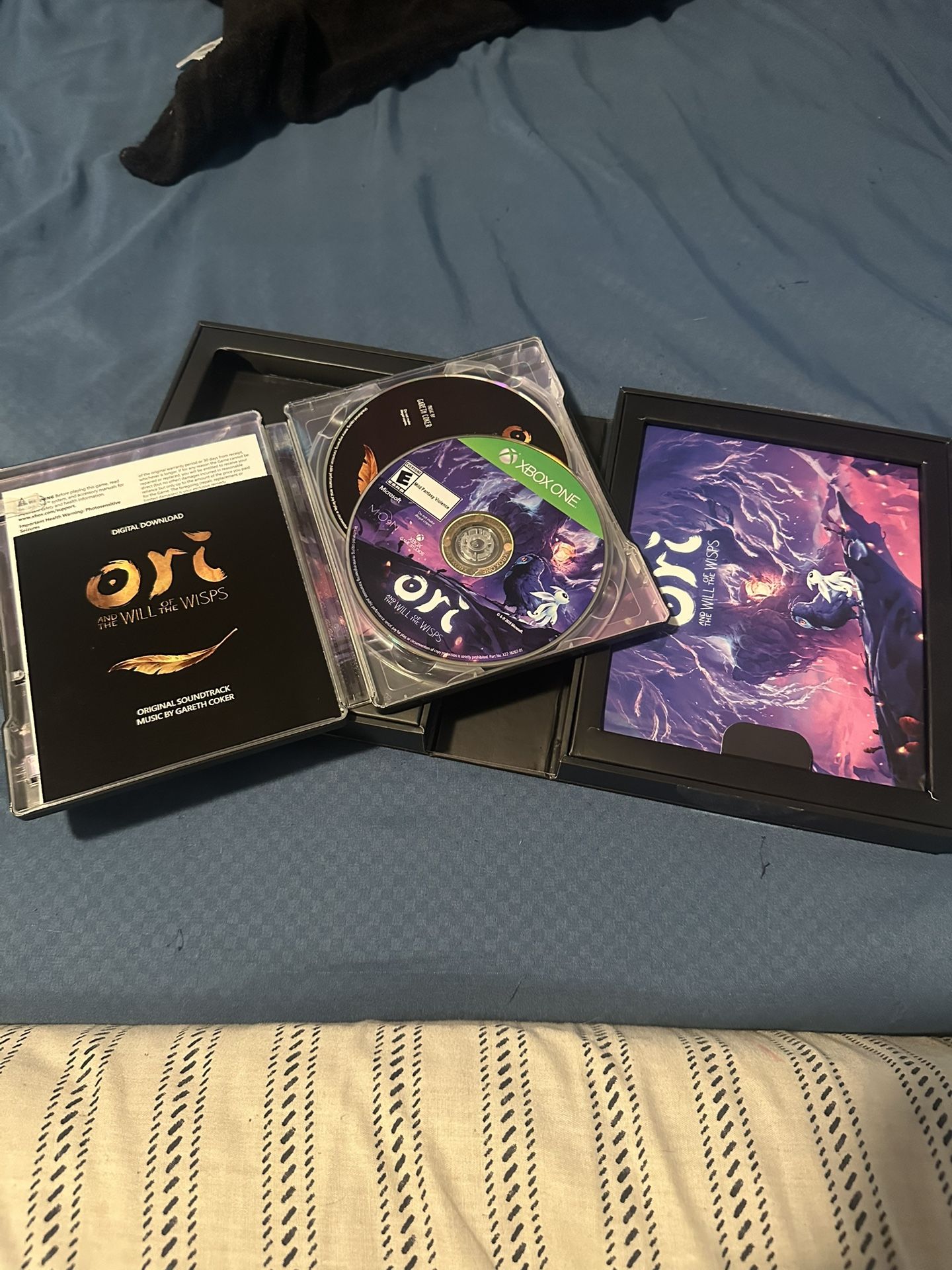 Ori And The Will Of The Wisps CE