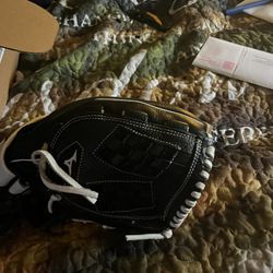 Softball Glove