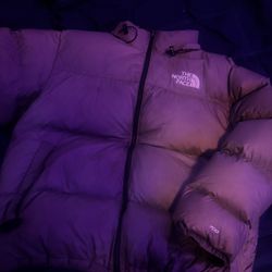 The North Face 1996 Retro Nuptse 