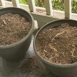 Garden Pots 2 Including Pot Mix - 5$