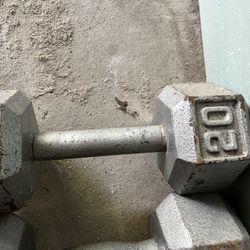 Weights 