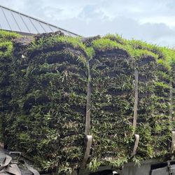Sod For Sale Grade A Quality 