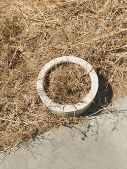 Cement Planter
