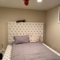 Meridian Full Sized Bed Frame- Want Gone Immediately