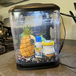 Beta Fish Tank