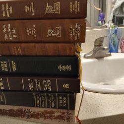 7 USED Bibles 