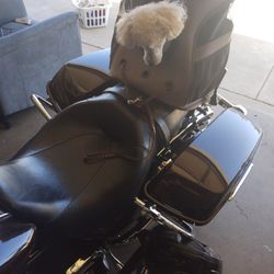 Pet Carrier
