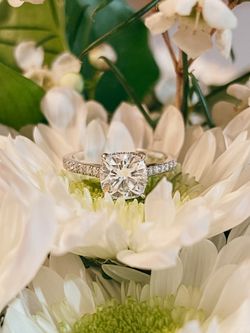 Engagement Ring