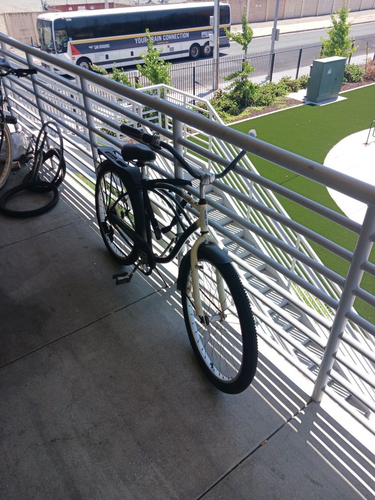 Beach Cruiser