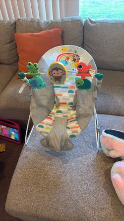 Baby Bouncer