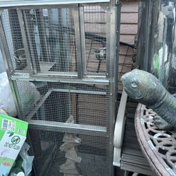 Bird Cage