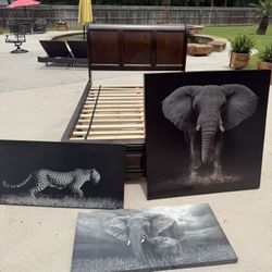 Large Safari Canvas 