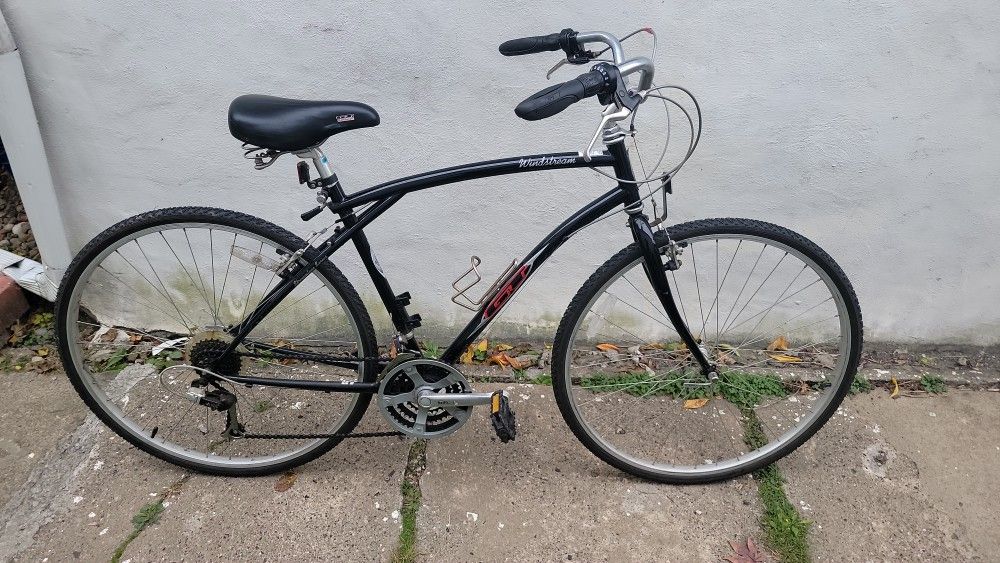 G.T. Wildwood Bike