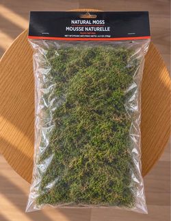 Decorative Halloween Moss