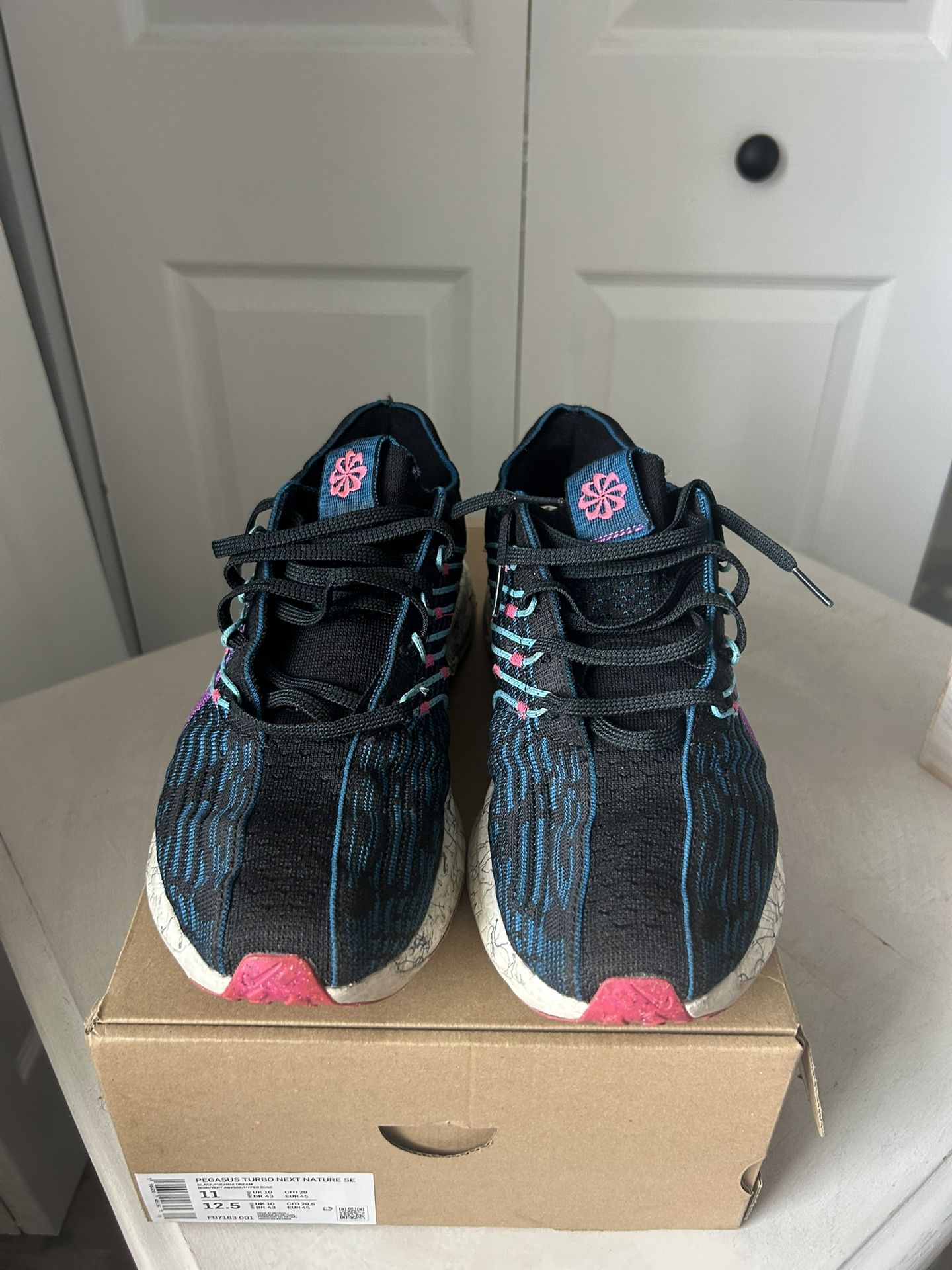 Nike Pegasus Turbo Next Nature