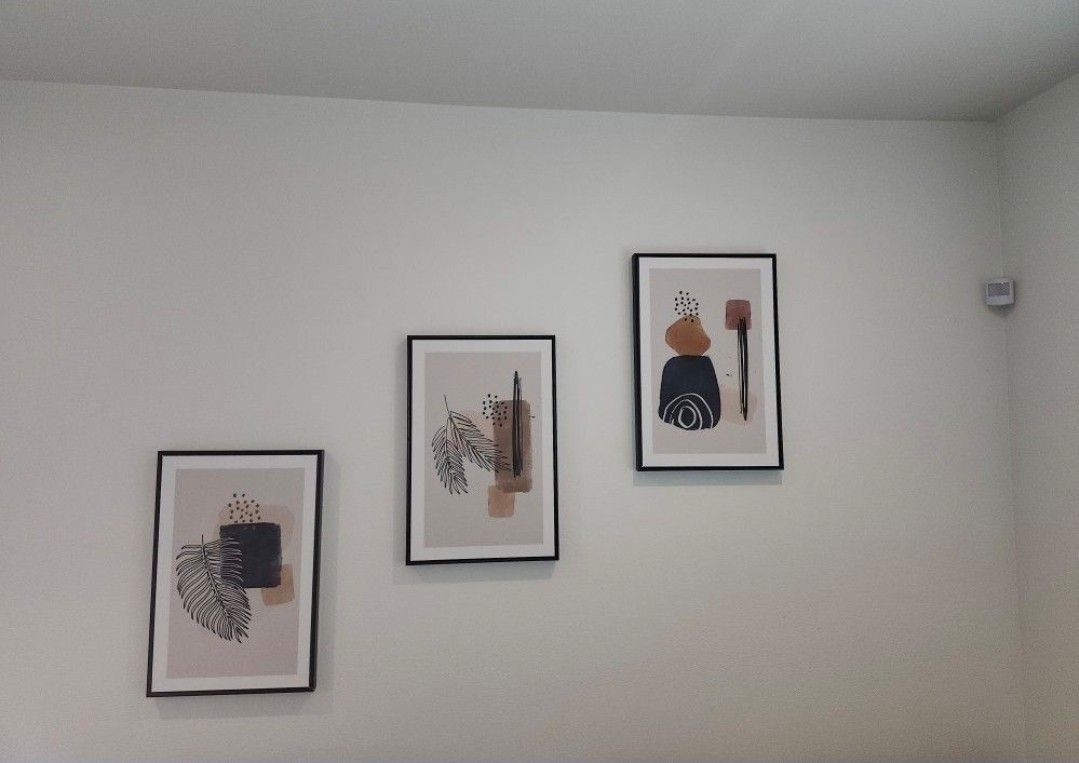 3 Framed Canvas Prints 