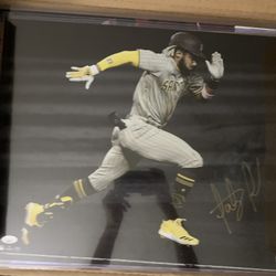 Fernando Tatis Jr 16x20 