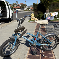 Vintage Schwinn Chameleon