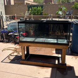Fish Tank And Stand 75 Gallon