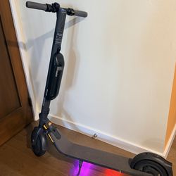 Segway Ninebot E45