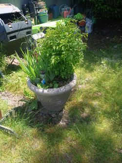Plastic large flower planters