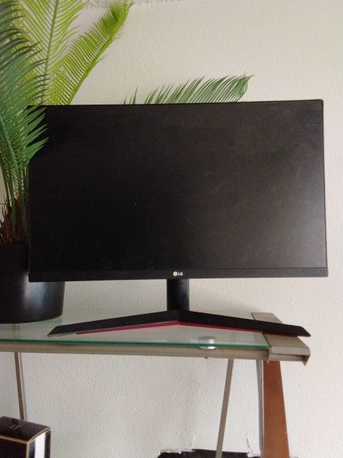 LG Monitor
