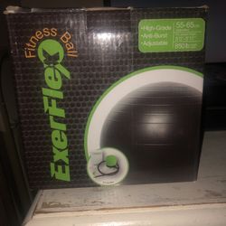 EverFlex Fitness Ball/Pelota de fitness EverFlex