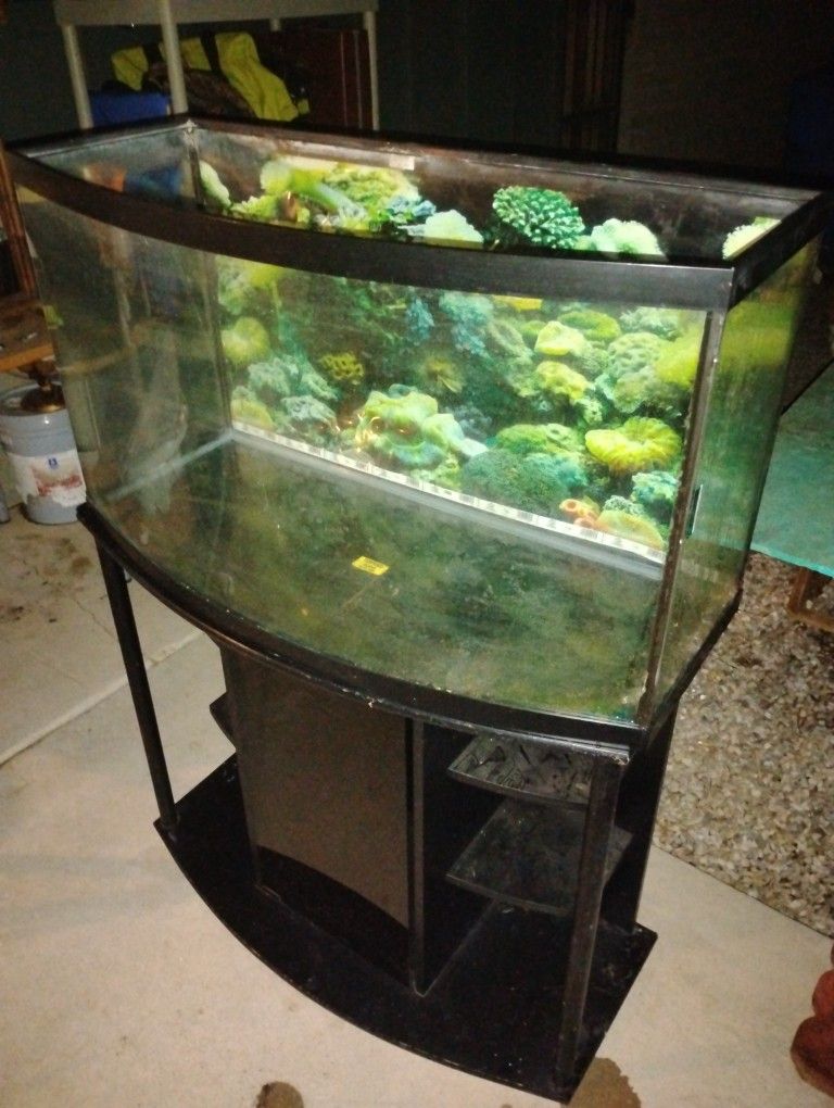 Fish Tank