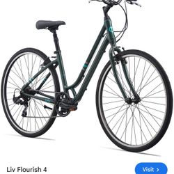 Liv Flourish 4 By Giant