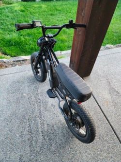 Freego Mini Electric Dirt Bike for Kids Adults,800W(Peak) Motor/48V/10.4Ah, 16" x3 Fat Tire Off Road Electric Motorcycle 31mph