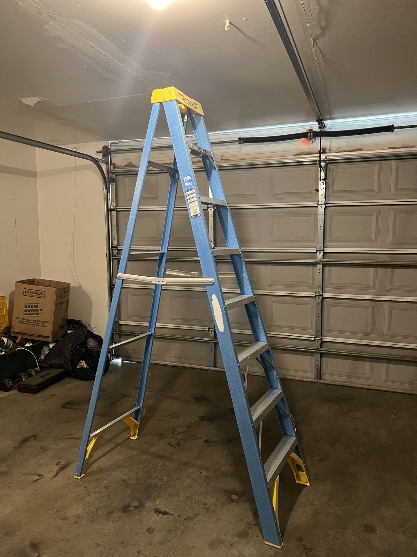 Werner 8ft Ladder