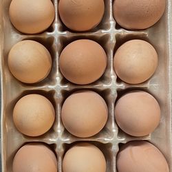 Farm Fresh Eggs