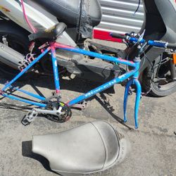 Bianchi Alant