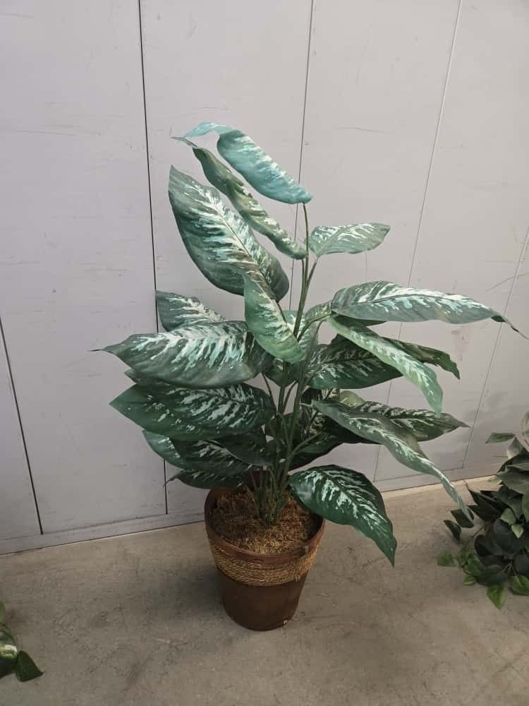Fake Plant $ 30 In Good Condition