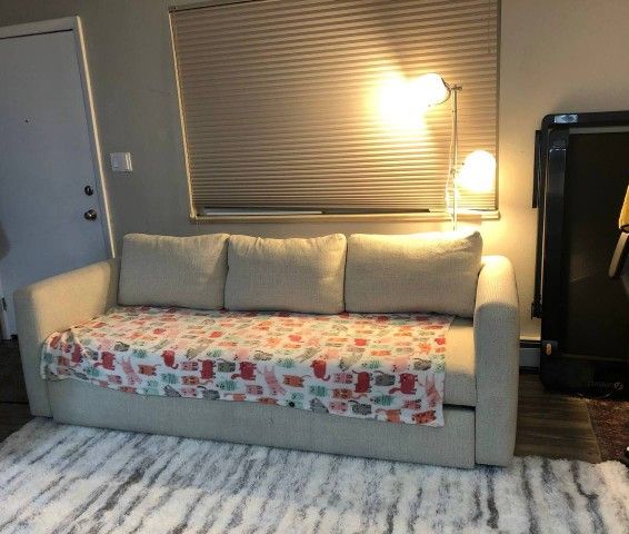 MOVING SALE: Deep Full-Size Sleeper Sofa (Mattress Detaches for Moving!)
