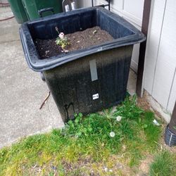 Giant Flower/Garden Pots