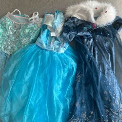 Elsa Type Dress up Costumes