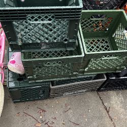 Boxes Plastic 10 For 50 