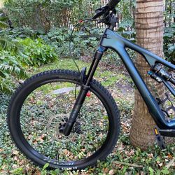 Stumpjumper EVO Expert - S2