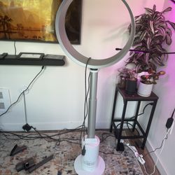 Dyson AM08 Pedestal Fan & Remote