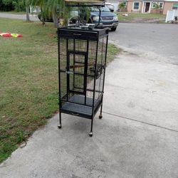 Bird Cage