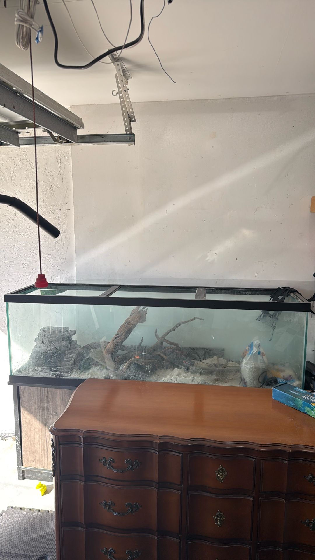 125 gallon aquarium