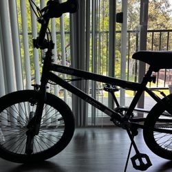 Hyper Bicycle 20” Spinner BMX Bike 