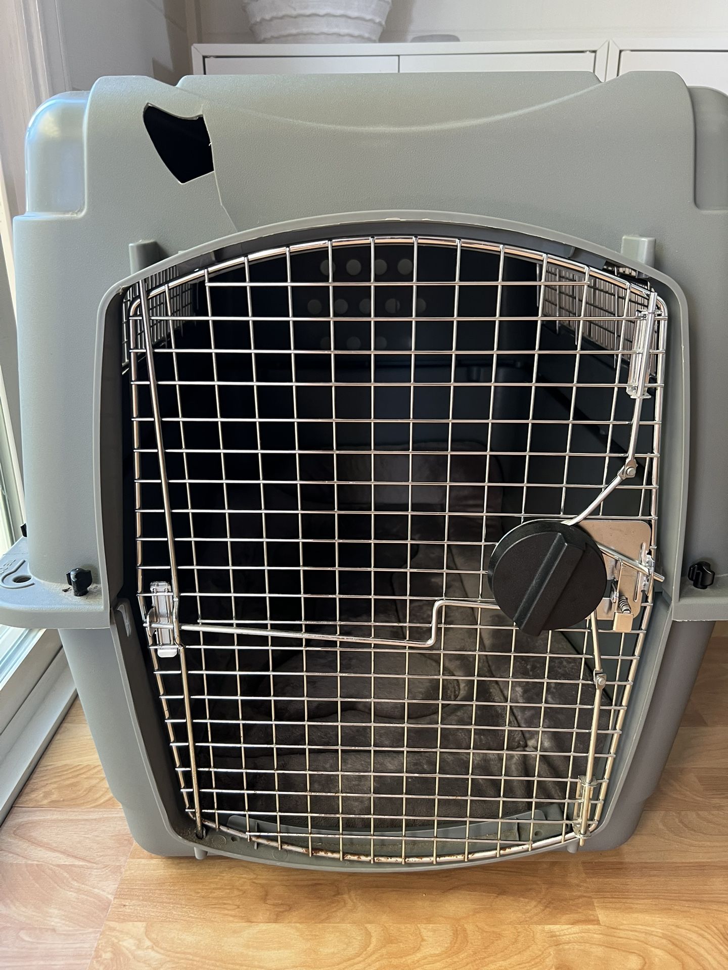 Petmate Sky Kennel and JoicyCo Dog Bed
