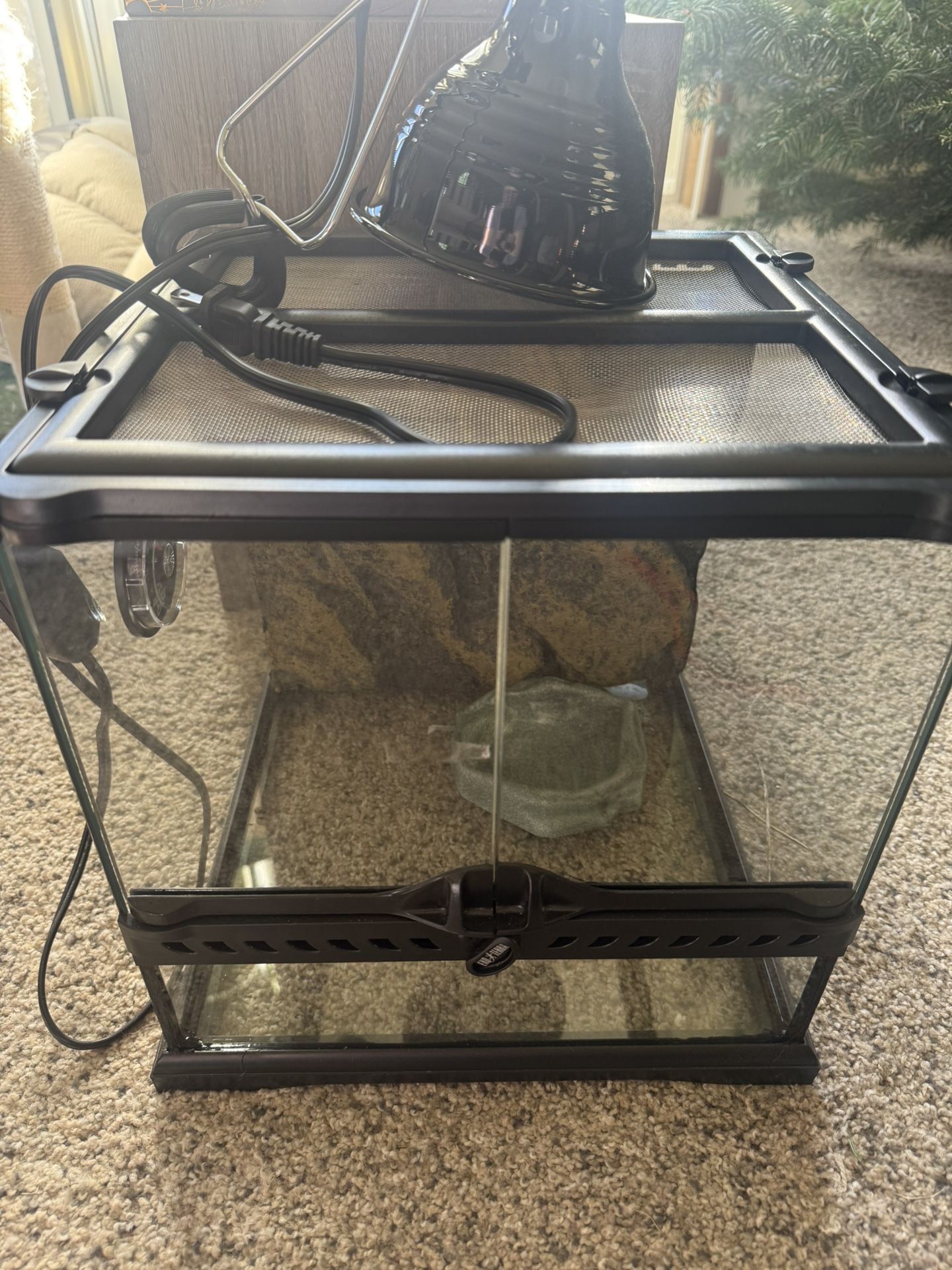 Small Exo Terra Reptile Tank